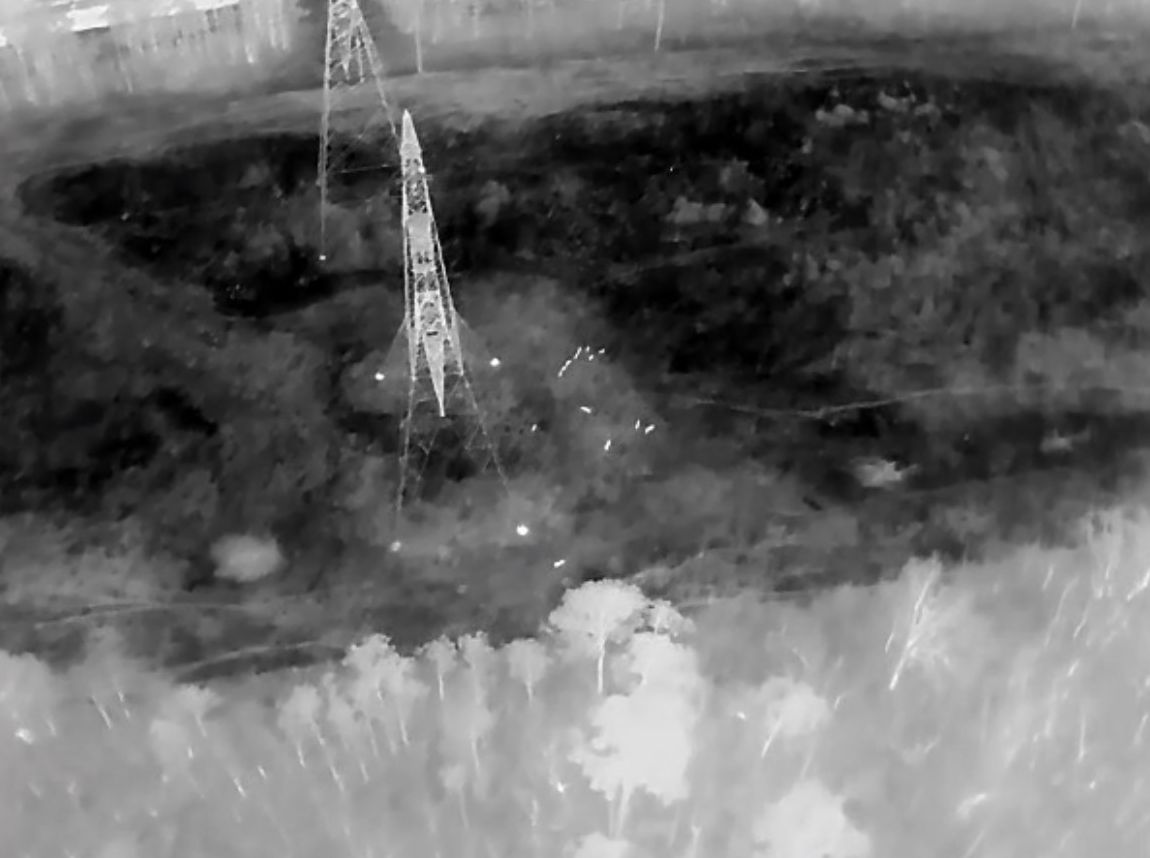 Black-and-white aerial thermal image over power-line towers and woods, with small bright white spots marking the body heat of animals